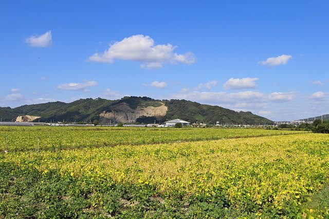 a0242438_19343135.jpg