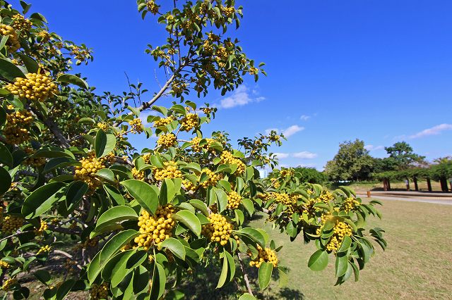a0242438_19354971.jpg