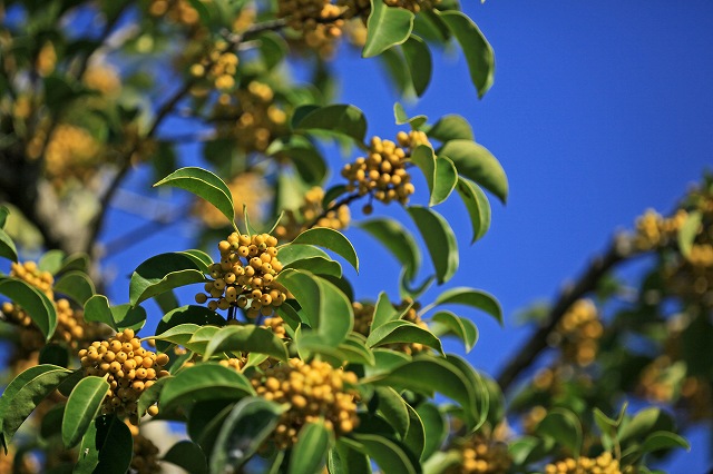 a0242438_19355425.jpg