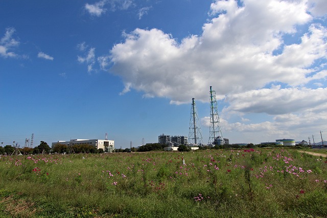 a0242438_1936126.jpg