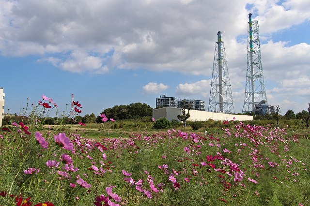a0242438_19362139.jpg
