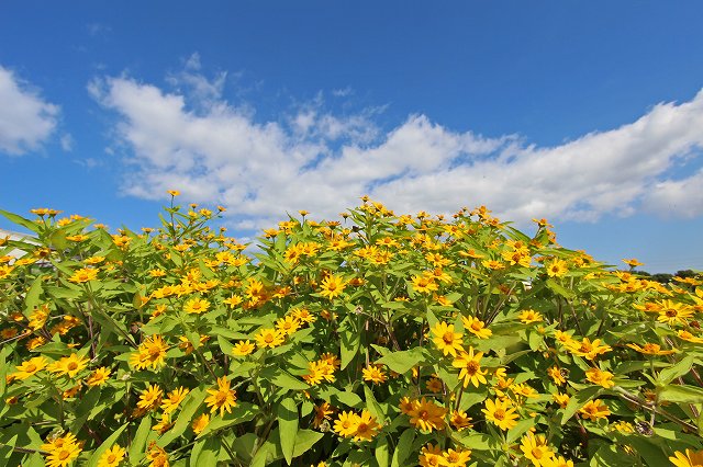 a0242438_1937989.jpg
