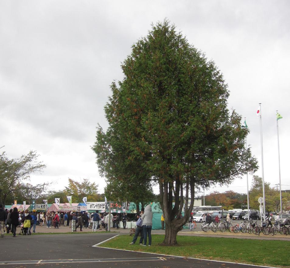 c0234938_1414841.jpg
