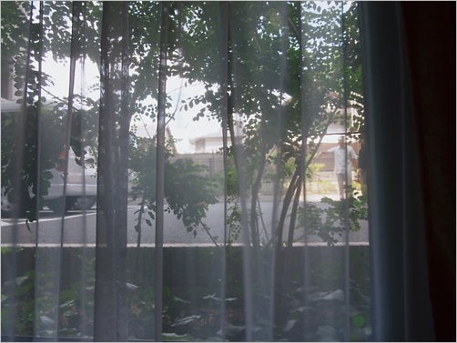 e0022839_2095384.jpg