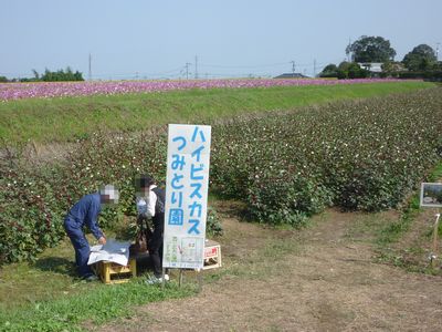 c0211540_21434220.jpg