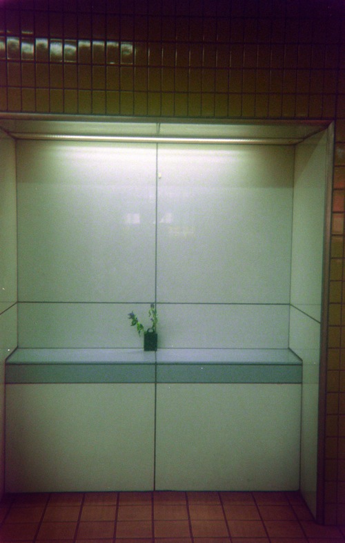 d0089742_01191.jpg