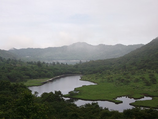 e0248844_21223772.jpg