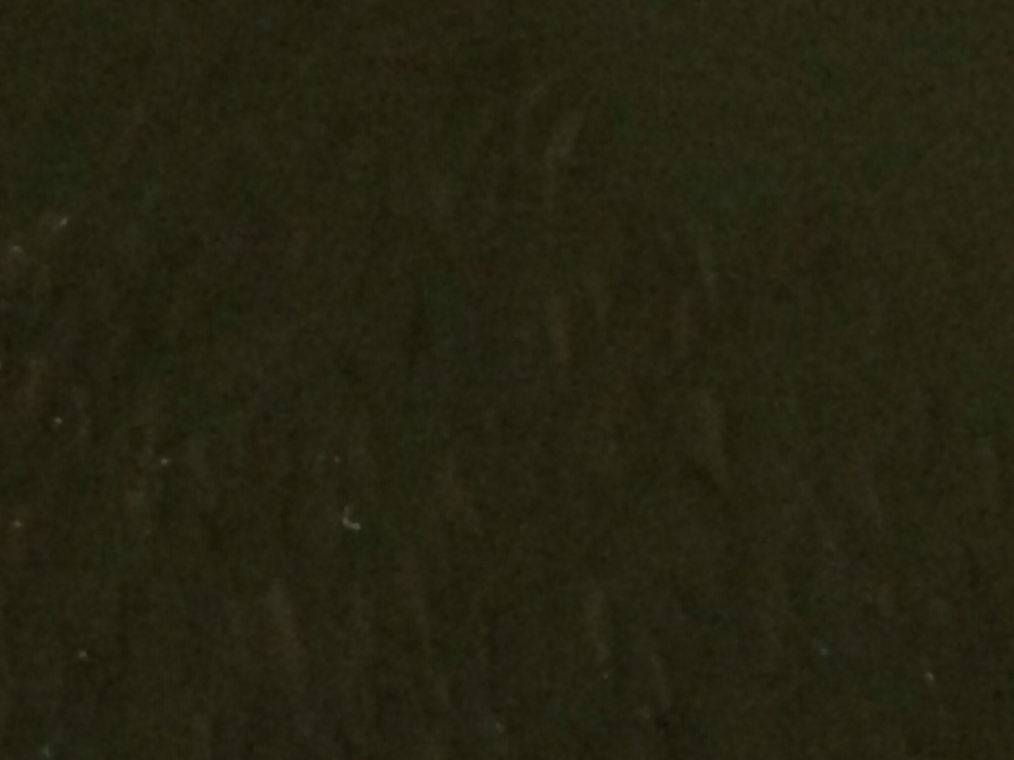 a0314846_18315870.jpg