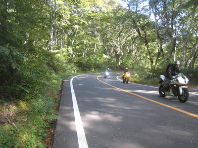 c0073152_23285460.jpg