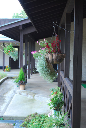 c0169657_12291175.jpg