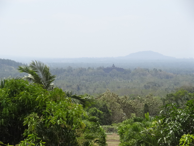 f0036857_1146462.jpg