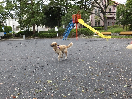 c0097558_1015072.jpg