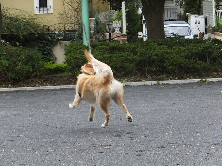 c0097558_1082370.jpg