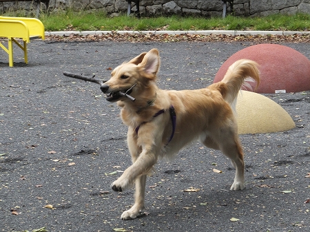 c0097558_1085933.jpg