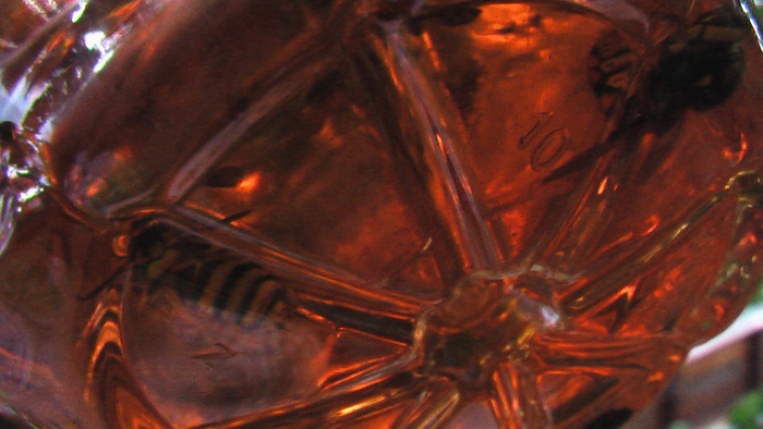 b0208961_10581313.jpg