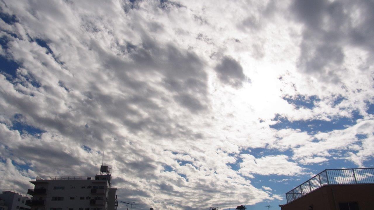 a0123465_0222358.jpg