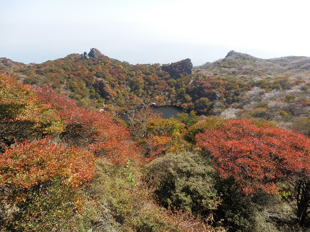 c0042869_651416.jpg