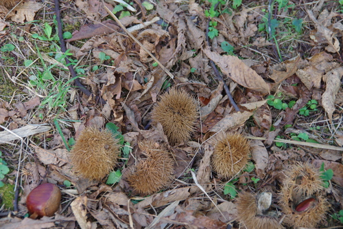 f0303870_2273959.jpg