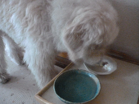 e0161972_10145441.jpg
