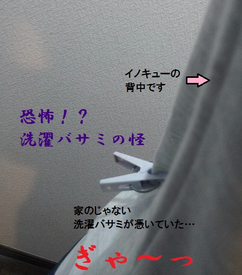 f0253473_2149625.jpg