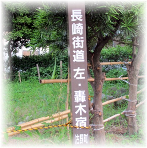 f0003174_13195753.jpg