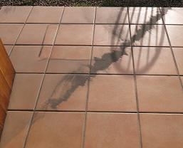 e0130185_12245813.jpg