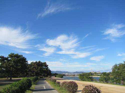 a0251786_19573668.jpg