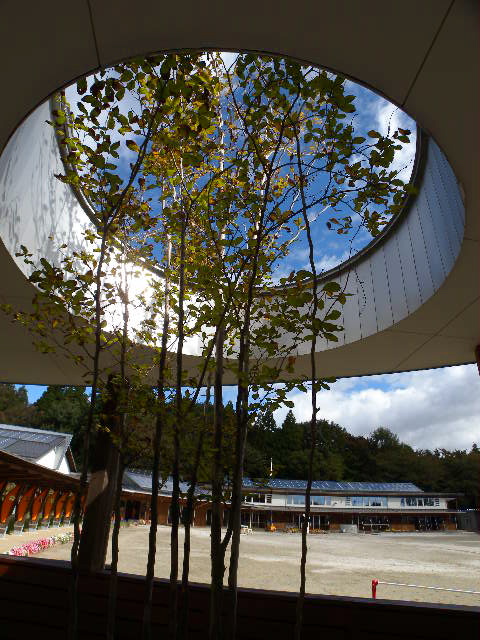 a0199297_16333873.jpg