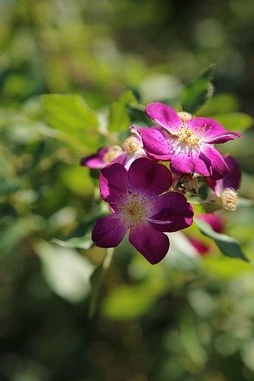 e0209997_2094389.jpg