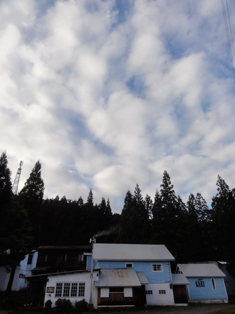 a0061599_7292658.jpg