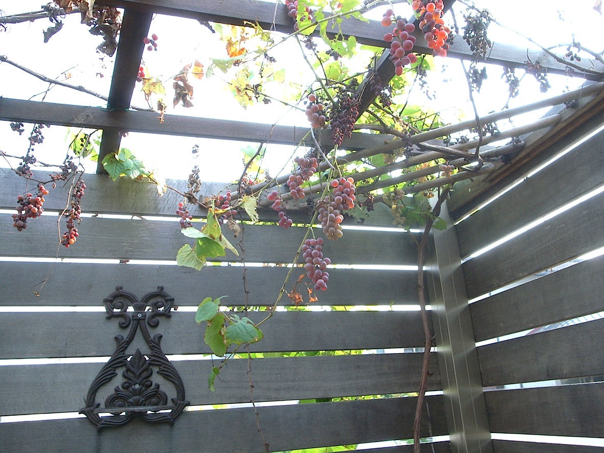 a0200299_16515080.jpg