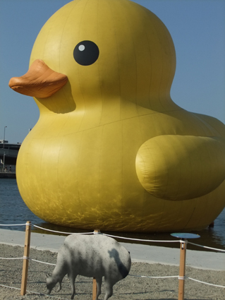 e0204001_11124457.jpg