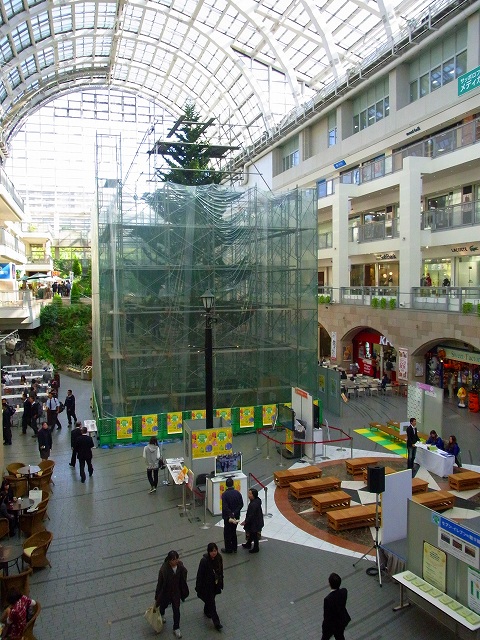 f0157901_23112383.jpg