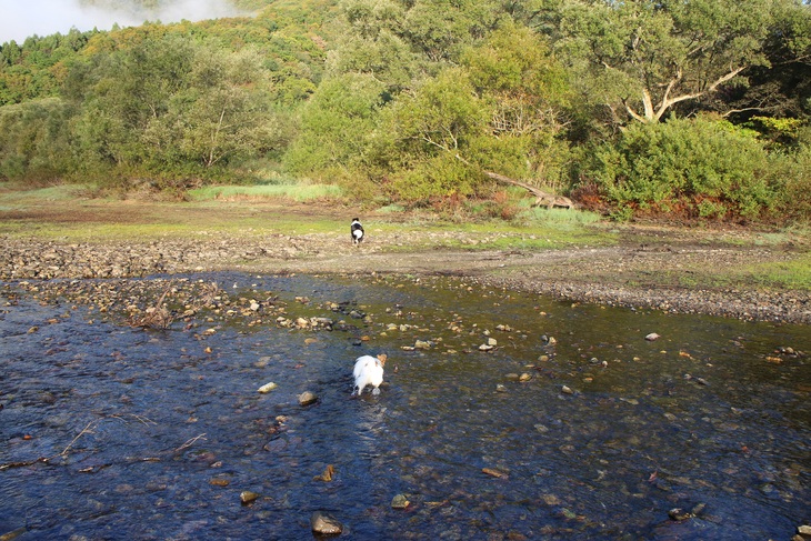 f0034602_20313383.jpg
