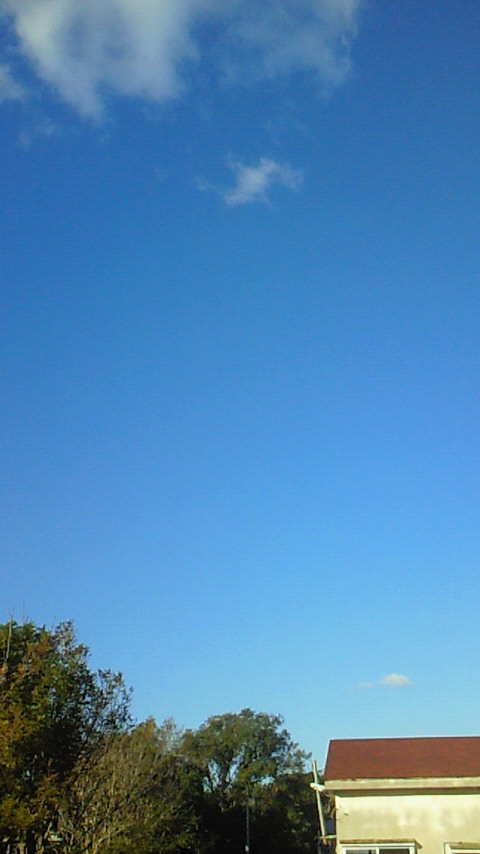 d0149105_72734.jpg