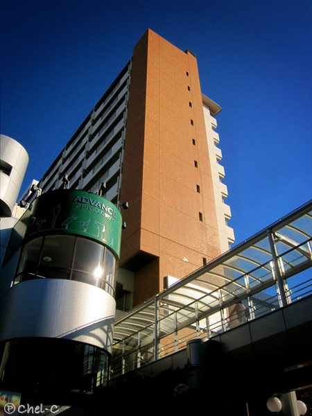 a0154706_6234847.jpg