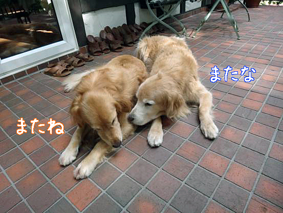 f0064906_16232998.jpg