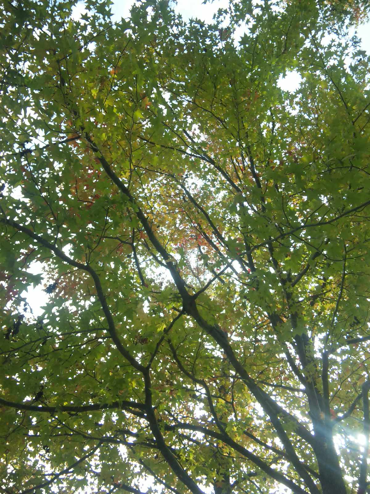 a0212807_20572735.jpg
