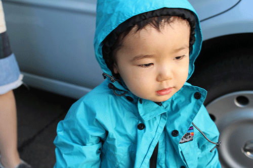 a0139912_854206.gif