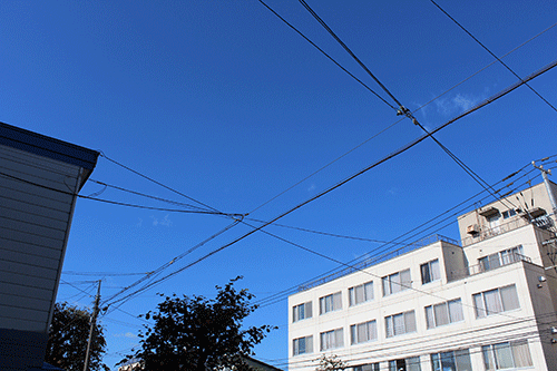 a0139912_8543256.gif
