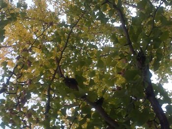 c0162212_1634072.jpg