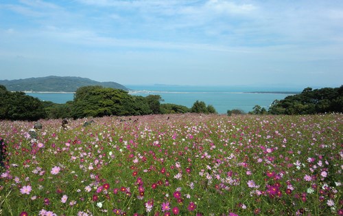 c0095424_165383.jpg