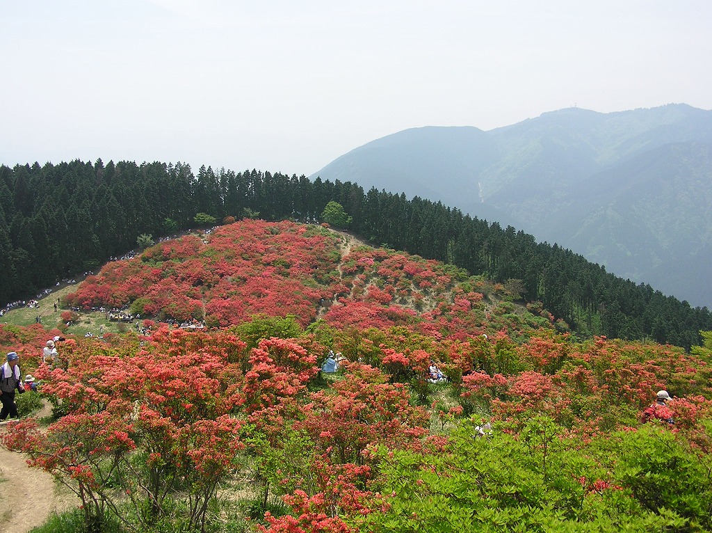 b0162728_7143680.jpg