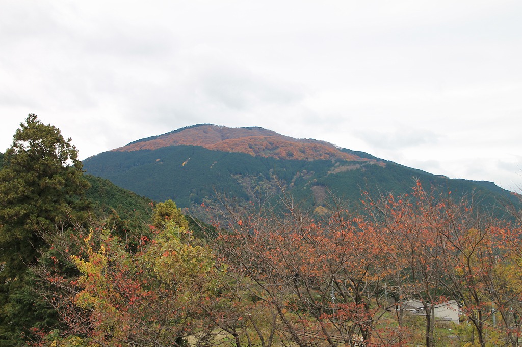 b0162728_7145226.jpg