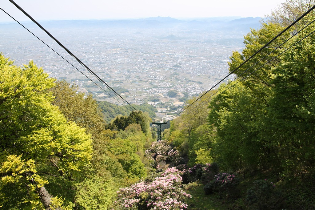 b0162728_715950.jpg