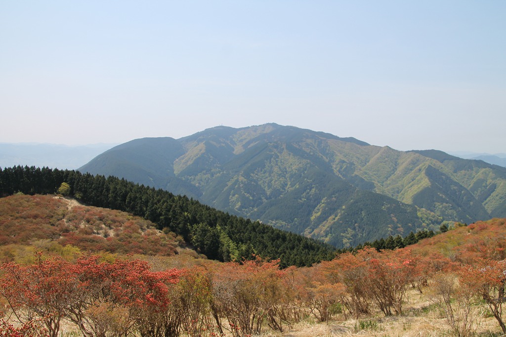 b0162728_716132.jpg