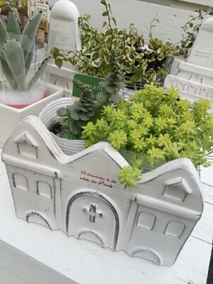 f0126934_13533570.jpg