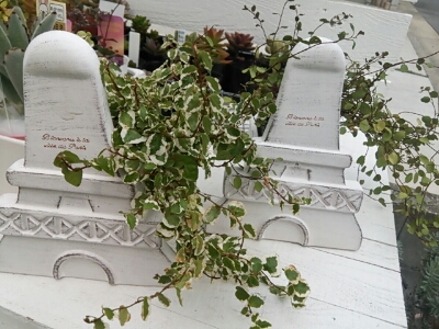 f0126934_13575663.jpg