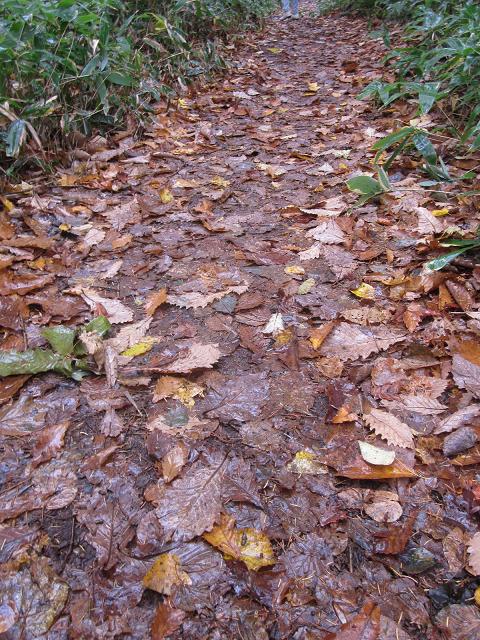 c0234938_172427.jpg