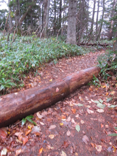 c0234938_17245779.jpg